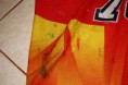 /album/a12/dukla98-99d4-jpg/
