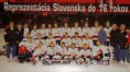 /album/a326/slovensko95-96t2-jpg/