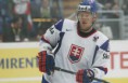 /album/a336/slovenskoms09h3-jpg/