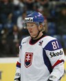 /album/a336/slovenskoms09h7-jpg/