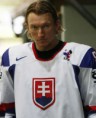 /album/a336/slovenskoms09h8-jpg/